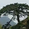 青藤农业科技有限公司的一亩田店铺