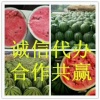 牛士全的一亩田店铺