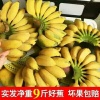 丛振宇的一亩田店铺