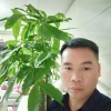 润丰农资店的一亩田店铺