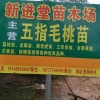 陈超胜的一亩田店铺