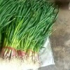 王新文的一亩田店铺