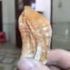 周凯的一亩田店铺