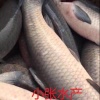 张海洋的一亩田店铺
