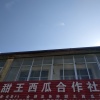 李云成的一亩田店铺