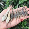 陈学登的一亩田店铺