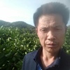 熊光伟的一亩田店铺
