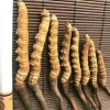 黑洛邓真的一亩田店铺