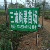 阳春三雄果苗场的一亩田店铺