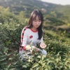 吴方洁的一亩田店铺