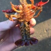 刘涛的一亩田店铺