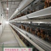 峨眉山品创生物科技有限公司的一亩田店铺