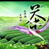 李保民的一亩田店铺