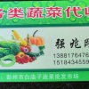 廖大安的一亩田店铺