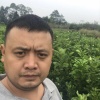 宣恩县晓关孟氏茶业专业合作社的一亩田店铺