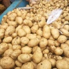 卢士锋的一亩田店铺