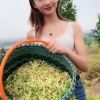 管哲商贸中心的一亩田店铺