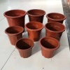 聚兴塑料花盆有限公司的一亩田店铺