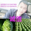 孙洪禹的一亩田店铺