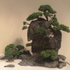 胡召弟的一亩田店铺