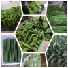 绿源蔬乡专业合作基地的一亩田店铺