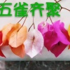 林泽森的一亩田店铺