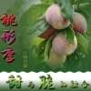 李昌的一亩田店铺
