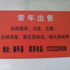 王记者的一亩田店铺