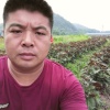 全州县陈林亮中药种植合作社的一亩田店铺