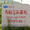 景明姣的一亩田店铺