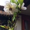 王同宝的一亩田店铺