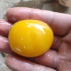 碧波养殖合作社的一亩田店铺