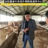 老郑养殖场的一亩田店铺