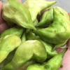 周阿明的一亩田店铺