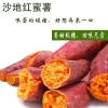 涂炜鹏的一亩田店铺