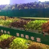 华哥种植合作社的一亩田店铺