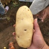 玉田铭华种植专业合作社的一亩田店铺