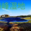 马云飞的一亩田店铺