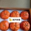 高兴家庭农场的一亩田店铺