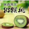 解涛的一亩田店铺