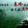李毅的一亩田店铺