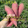 李全胜的一亩田店铺