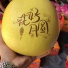 张智远的一亩田店铺