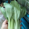 李玉飞的一亩田店铺