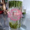 春林茶业有限公司的一亩田店铺
