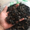 张迟迟的一亩田店铺