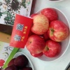 丰乐种苗的一亩田店铺
