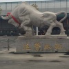 杨娜的一亩田店铺