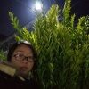 张燕芳的一亩田店铺