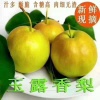 马艳琴的一亩田店铺